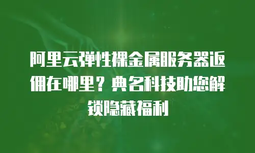 阿里云弹性裸金属服务器返佣在哪里？典名科技助您解锁隐藏福利
