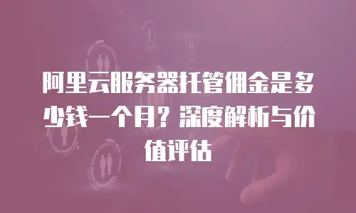 阿里云服务器托管佣金是多少钱一个月？深度解析与价值评估