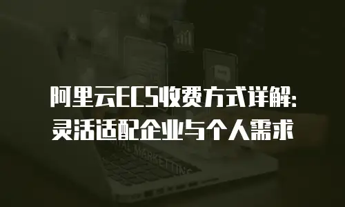 阿里云ECS收费方式详解：灵活适配企业与个人需求