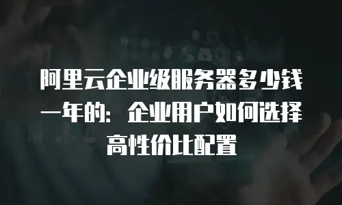 阿里云企业级服务器多少钱一年的：企业用户如何选择高性价比配置