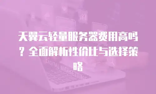 天翼云轻量服务器费用高吗？全面解析性价比与选择策略