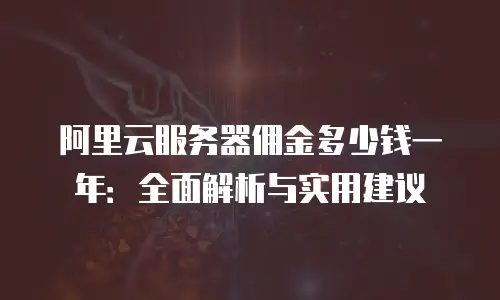 阿里云服务器佣金多少钱一年：全面解析与实用建议