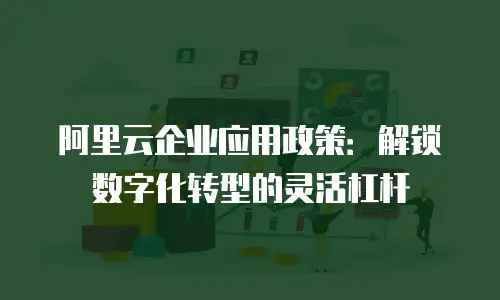 阿里云企业应用政策：解锁数字化转型的灵活杠杆
