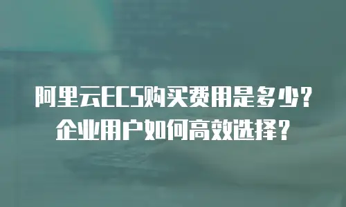 阿里云ECS购买费用是多少？企业用户如何高效选择？