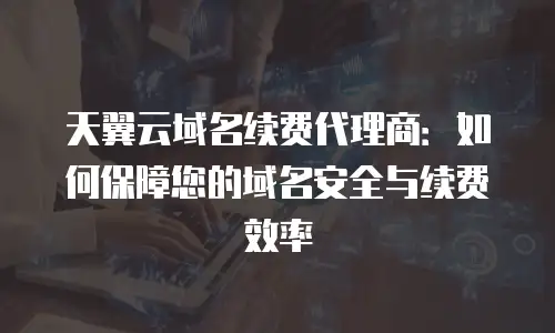 天翼云域名续费代理商：如何保障您的域名安全与续费效率