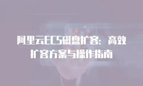 阿里云ECS磁盘扩容：高效扩容方案与操作指南