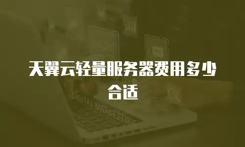 天翼云轻量服务器费用多少合适