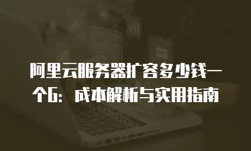 阿里云服务器扩容多少钱一个G：成本解析与实用指南