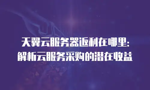 天翼云服务器返利在哪里：解析云服务采购的潜在收益