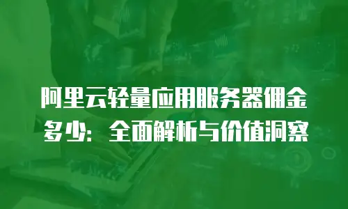 阿里云轻量应用服务器佣金多少：全面解析与价值洞察