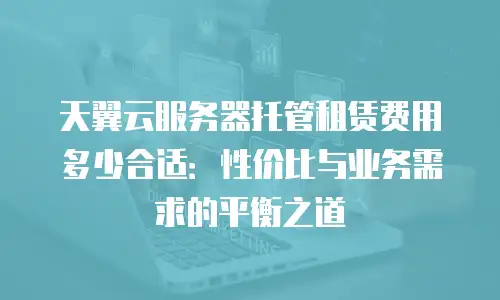 天翼云服务器托管租赁费用多少合适：性价比与业务需求的平衡之道