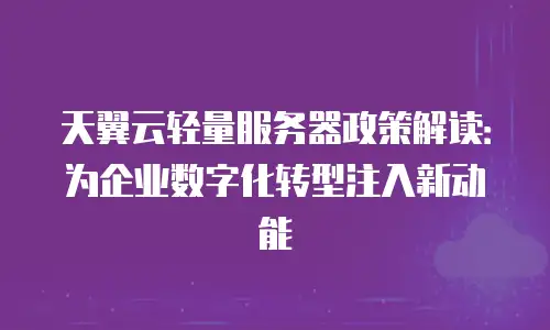 天翼云轻量服务器政策解读：为企业数字化转型注入新动能