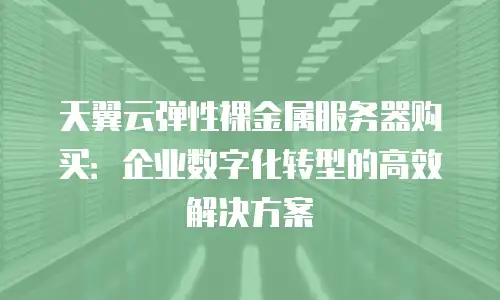 天翼云弹性裸金属服务器购买：企业数字化转型的高效解决方案