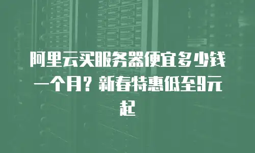 阿里云买服务器便宜多少钱一个月？新春特惠低至9元起