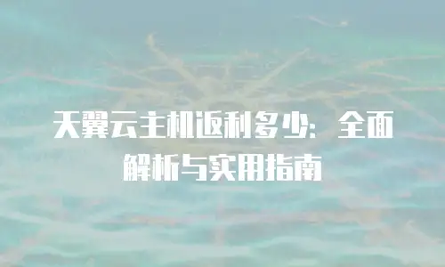 天翼云主机返利多少：全面解析与实用指南