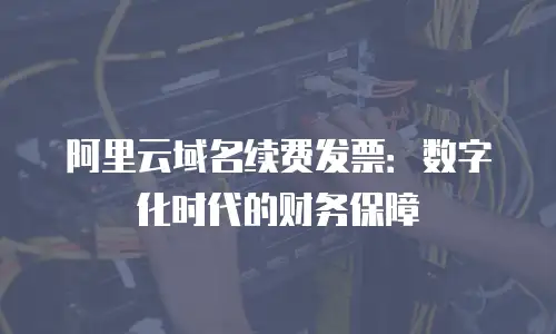 阿里云域名续费发票：数字化时代的财务保障