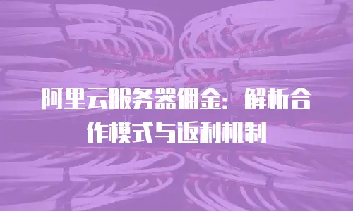 阿里云服务器佣金：解析合作模式与返利机制