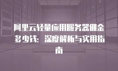 阿里云轻量应用服务器佣金多少钱：深度解析与实用指南