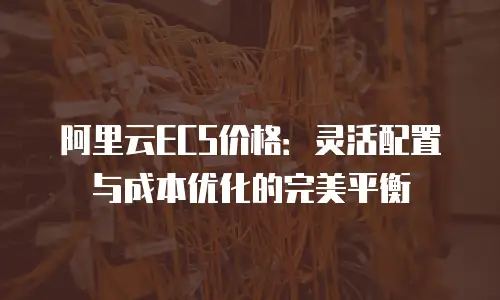 阿里云ECS价格：灵活配置与成本优化的完美平衡