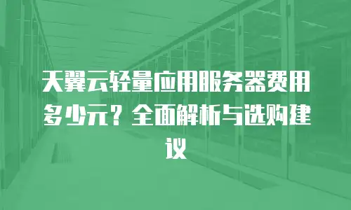 天翼云轻量应用服务器费用多少元？全面解析与选购建议