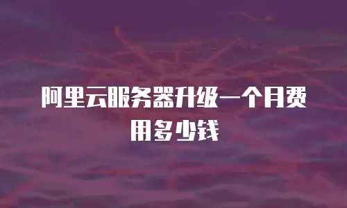 阿里云服务器升级一个月费用多少钱