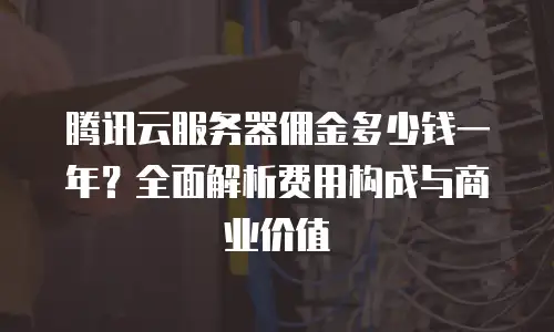 腾讯云服务器佣金多少钱一年？全面解析费用构成与商业价值