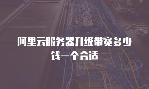 阿里云服务器升级带宽多少钱一个合适