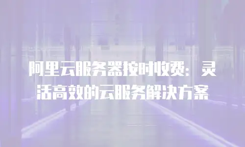 阿里云服务器按时收费：灵活高效的云服务解决方案