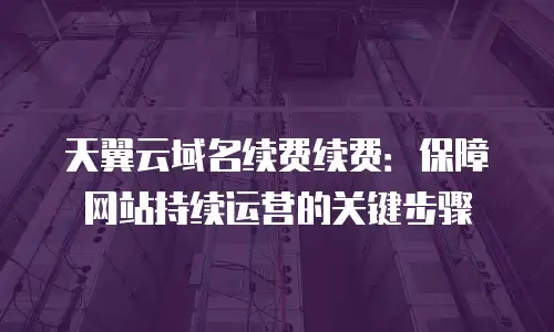 天翼云域名续费续费：保障网站持续运营的关键步骤