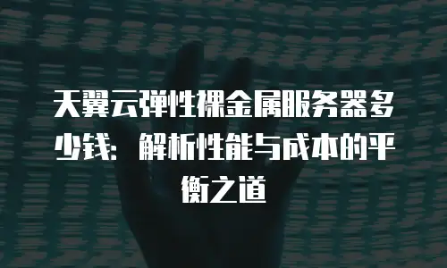 天翼云弹性裸金属服务器多少钱：解析性能与成本的平衡之道