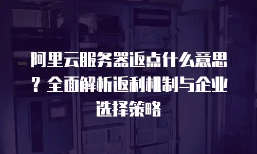 阿里云服务器返点什么意思？全面解析返利机制与企业选择策略