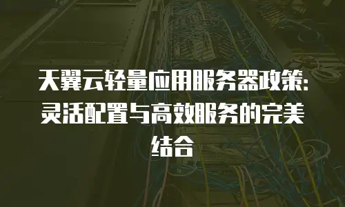 天翼云轻量应用服务器政策：灵活配置与高效服务的完美结合