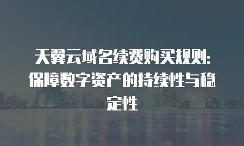 天翼云域名续费购买规则：保障数字资产的持续性与稳定性