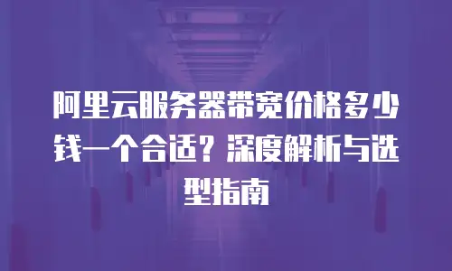 阿里云服务器带宽价格多少钱一个合适？深度解析与选型指南