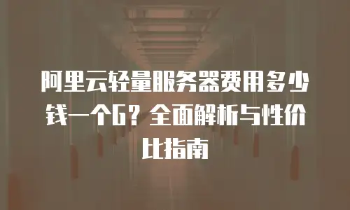 阿里云轻量服务器费用多少钱一个G？全面解析与性价比指南