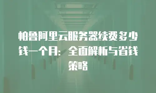 帕鲁阿里云服务器续费多少钱一个月：全面解析与省钱策略