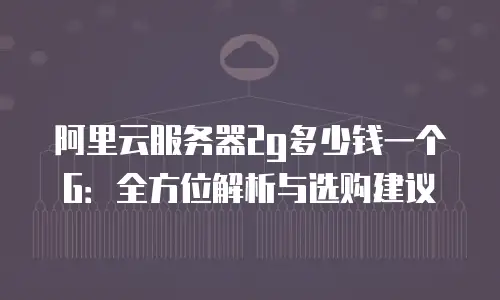 阿里云服务器2g多少钱一个G：全方位解析与选购建议