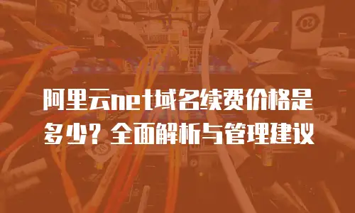 阿里云net域名续费价格是多少？全面解析与管理建议