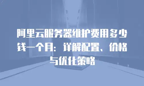 阿里云服务器维护费用多少钱一个月：详解配置、价格与优化策略