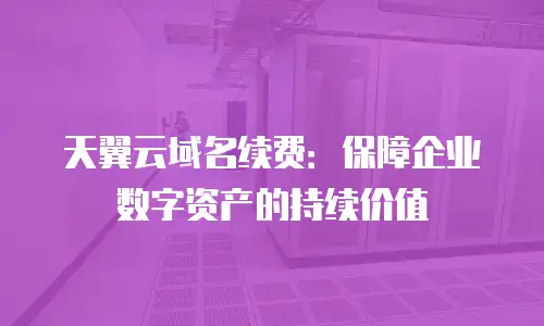 天翼云域名续费：保障企业数字资产的持续价值