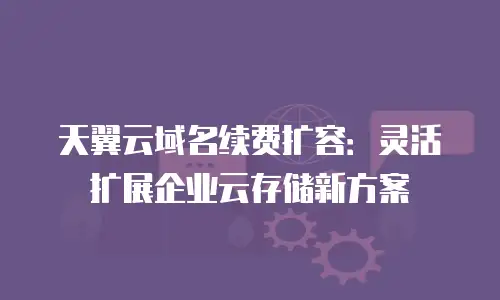 天翼云域名续费扩容：灵活扩展企业云存储新方案