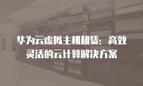 华为云虚拟主机租赁：高效灵活的云计算解决方案