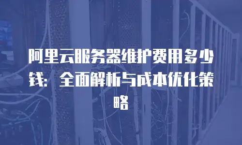 阿里云服务器维护费用多少钱：全面解析与成本优化策略