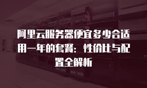 阿里云服务器便宜多少合适用一年的套餐：性价比与配置全解析