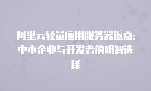 阿里云轻量应用服务器返点：中小企业与开发者的明智选择