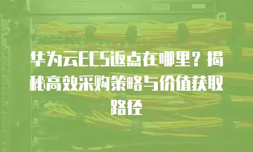 华为云ECS返点在哪里？揭秘高效采购策略与价值获取路径