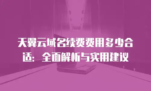 天翼云域名续费费用多少合适：全面解析与实用建议