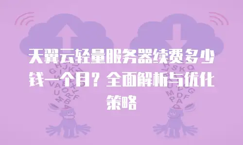 天翼云轻量服务器续费多少钱一个月？全面解析与优化策略