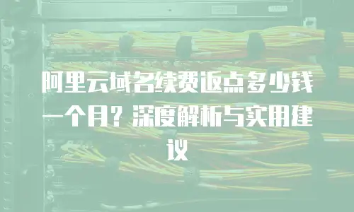 阿里云域名续费返点多少钱一个月？深度解析与实用建议