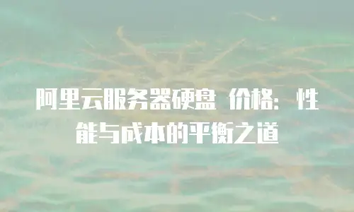 阿里云服务器硬盘 价格：性能与成本的平衡之道